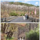 공룡발자국화석지 공중화장실 | 울산 반구천 대곡리 반구대 · 천전리 암각화와 공룡 발자국