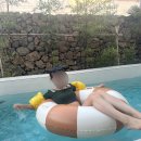 스테이 유수 이미지