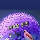 건행