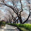 금수강산 이미지