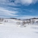 하얀 목장 이미지