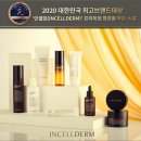 비젼인셀덤