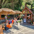 영희네 체험민박 | 제주 아이랑 가볼만한 사진찍기 좋은 곳 산양큰엉곶 스누피가든 훈데르트바서파크