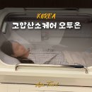 (주)오투바이오 | 고압산소 케어 오투온 논현점 효과, 비용, 2회차 솔직후기