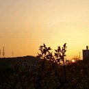 보은장모텔 이미지