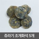 쥬라기 이미지