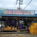 포도마루농원