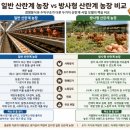 옥천읍 행정복지센터 비상급수시설 | 계란 가격 상승기, 양계장 창업은 기회일까?일반 산란계와 방사형 양계사업 사업성 분석보고서