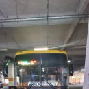 봉강교정류장 이미지