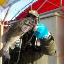 만석낚시터 이미지