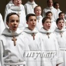 파리나무십자가 소년합창단 이미지