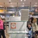 대산목장 | ➊월│20만원(편도)짜리 낭만침대열차 타고 가서 코난만 주구장창 보다 온 썰 푼다 [4박 4일 요나고...