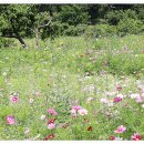 신흥근린공원 이미지