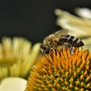 미로노래연습장 이미지