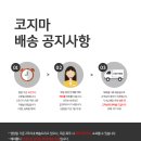 코지마안마의자제주