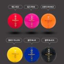 경기 피닉스 | 피닉스 아트스윙 국산 파크골프공 추천 4피스 고반발 공인구 사용 후기