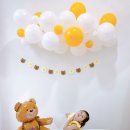 데이지포포