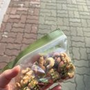협동땅콩상회