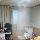 베스트방역소독