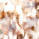 남동근린공원3 이미지