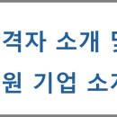 디더블유피(DWP)