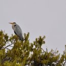 덕산자동차공업사 이미지