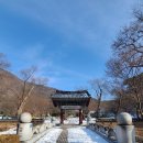 영월 보덕사 목조아미타삼존불좌상 이미지