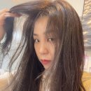 율라움