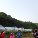 연진농장 이미지