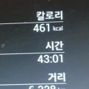 백조세탁 이미지