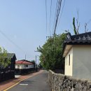 올목, jeju 이미지