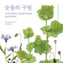 ＜들풀의 구원 : 부서진 땅에서도 왕성하게 자라난 희망에 관하여＞ 빅토리아 베넷 저/김명남 역 | 웅진지식하우스 | 2024 이미지