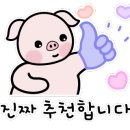 종화동 582 네이버블로그