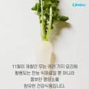무 이미지