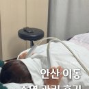 플라베스 이미지