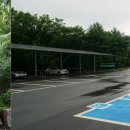 인라인스케이트장 앞 이미지