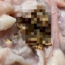 하림생닭 이미지