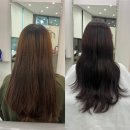 미용실 디아드헤어 대구죽전역점 대만족한 전체염색후기 대구헤어샵추천 대구미용실추천 대구머리잘하는곳
