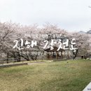 진해만 생태숲 학습관 이미지