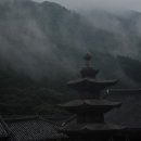 여선사 Daum카페