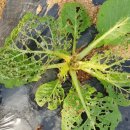 덕이농장 이미지