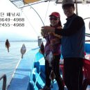 낙산화이트홈펜션 이미지