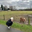 현선목장 이미지