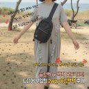 멀티시크릿 | 백팩 다되고 RFID 차단까지? 단점을 모르겠는 해외여행가방 A.I.F FACTORY 2way 안심멀티백 대만족 후기