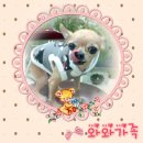 패밀리와와 이미지