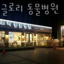 24시 글로리 동물병원 이미지