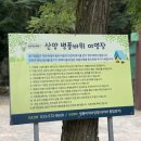 병풍바위야영장 이미지