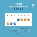 서프롯지 이미지