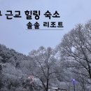 솔솔리조트 이미지