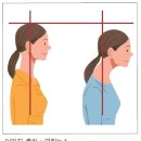 필라테스 모먼트 이미지